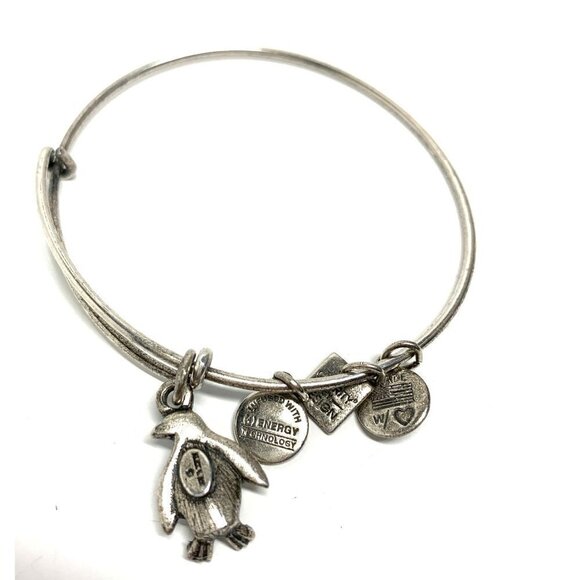 Alex and Ani Penguin Charm Bracelet Silver Finish - Expands 2"- 3.5" - Picture 2 of 2